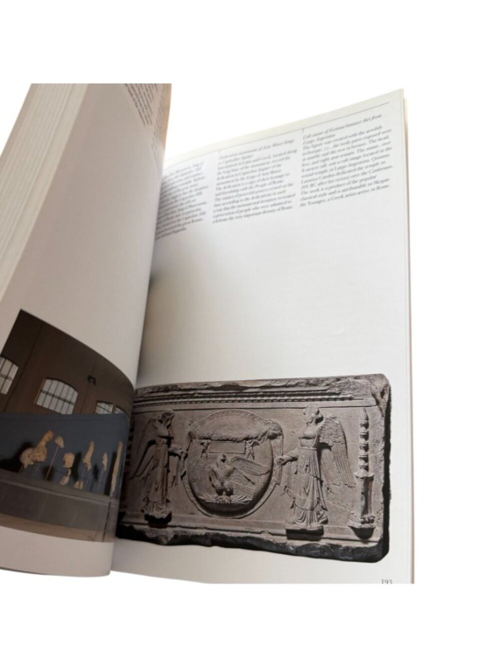 The Capitoline Museums Art History Guidebook Electa Paperback Rome 2000 - Picture 6 of 6